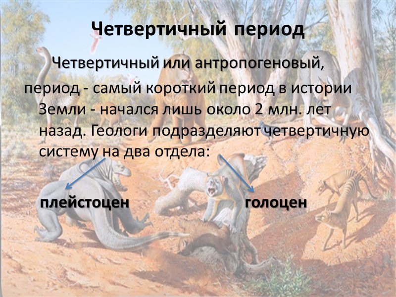 Четвертичный период        Четвертичный или антропогеновый,  период